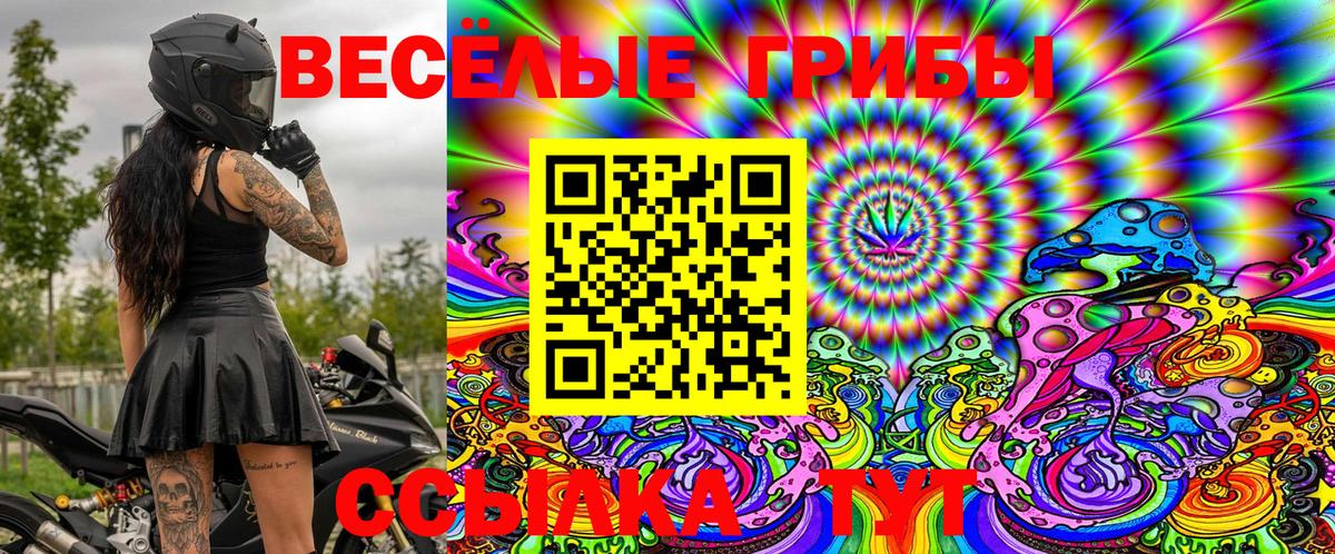 Галлюциногенные грибы Cubensis  Вход с VPN  Кизилюрт 