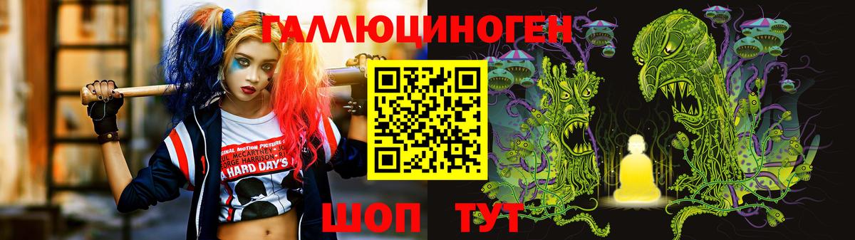 Псилоцибиновые грибы Cubensis Кизилюрт